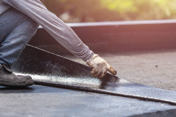Professional Interior Drainage System technician working in Roanoke, IL